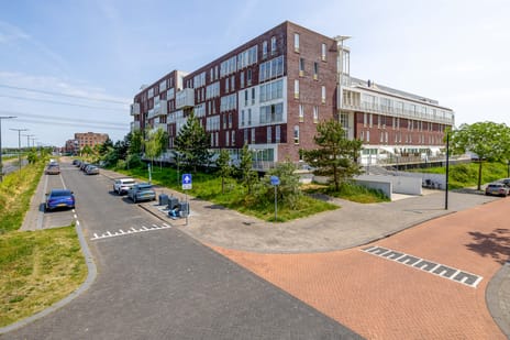 undefined main image