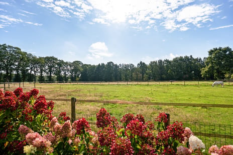 Afbeelding van Buinerweg 4 - Derde foto