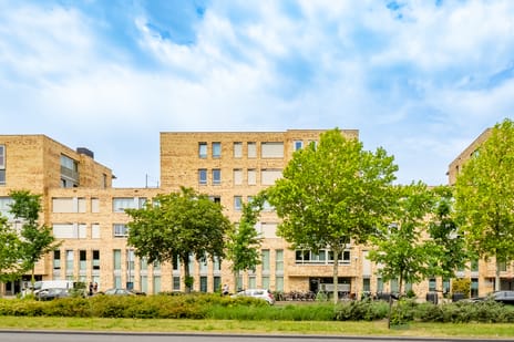 undefined main image