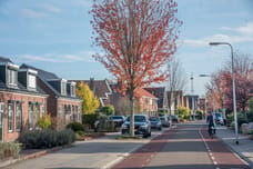 Afbeelding van Dannenberg 70 - Tweede foto