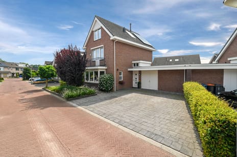 Gentiaan 9 main image