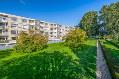 Ruygeplaat 117 main image