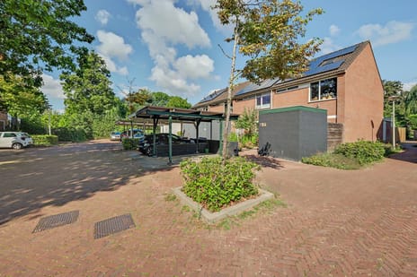 undefined main image