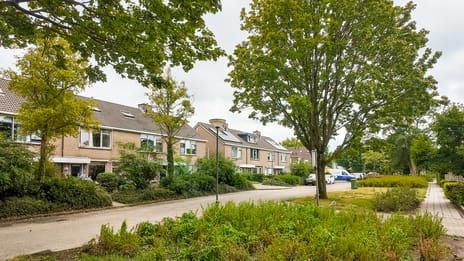 Afbeelding van Loevestein 18 - Tweede foto