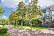 Afbeelding van Fivelingo 247 - Derde foto