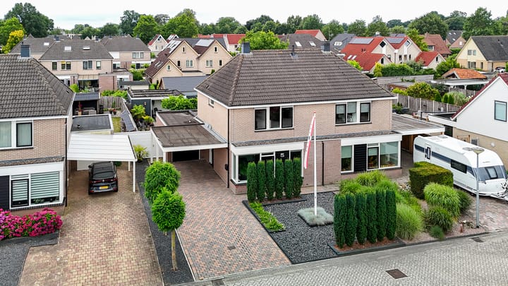 Schoener 30 main image
