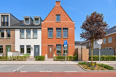De Mook 41 main image