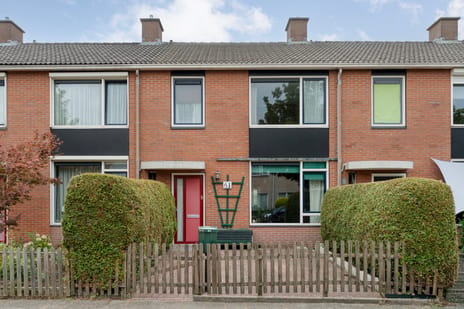 undefined main image