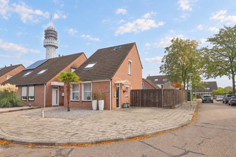 Bonenberg 10 main image