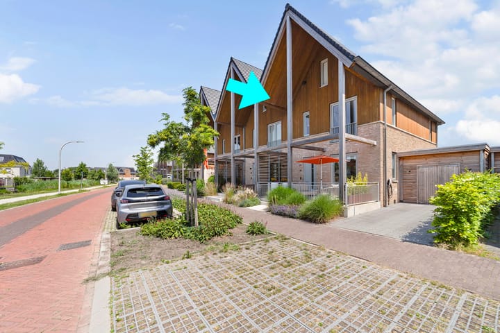 Aalscholver 8 main image