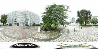 View 360° photos