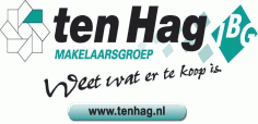 ten Hag bedrijfsmakelaars makelaar-logo