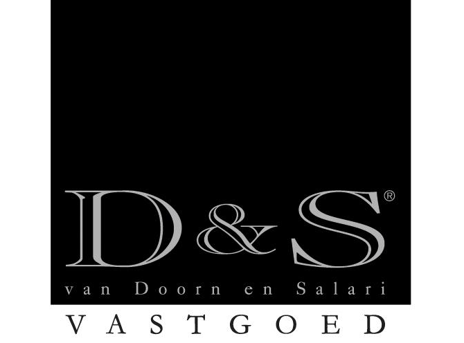 D&S Vastgoed makelaar-logo