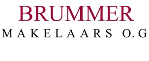 Brummer Makelaars en Taxateurs o.g. makelaar-logo