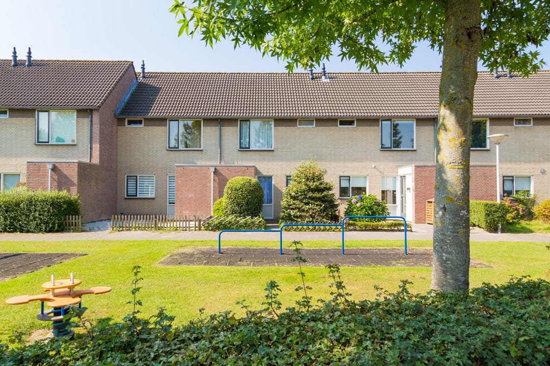 Image of Plataan / Salderes