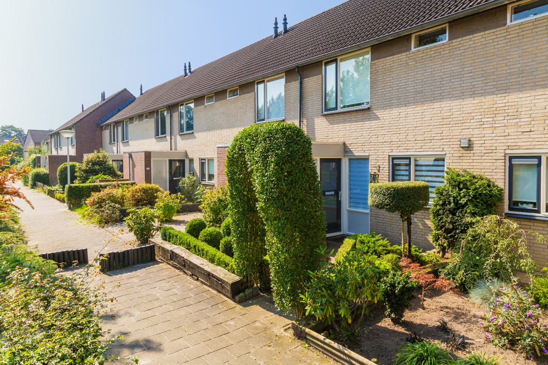 Foto 2 van Plataan / Salderes