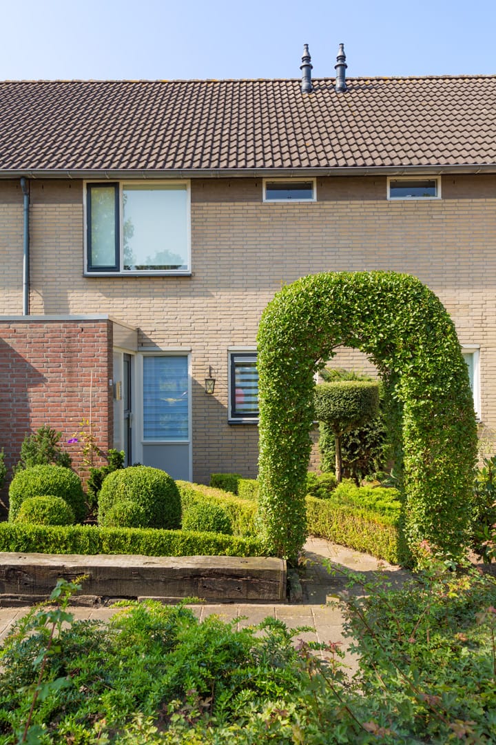 Photo 3 of Plataan / Salderes