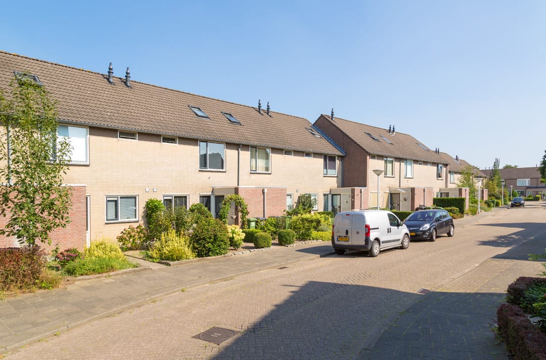 Photo 5 of Plataan / Salderes