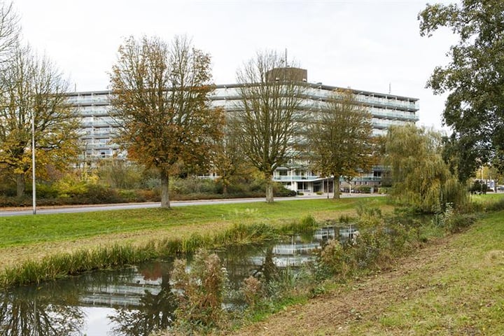 Vogelweide 1 t/m 96: gerenoveerde appartementen