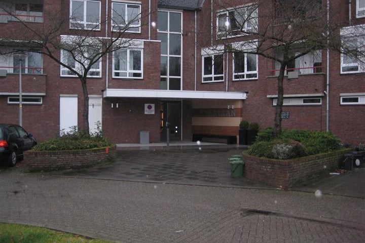 appartementen