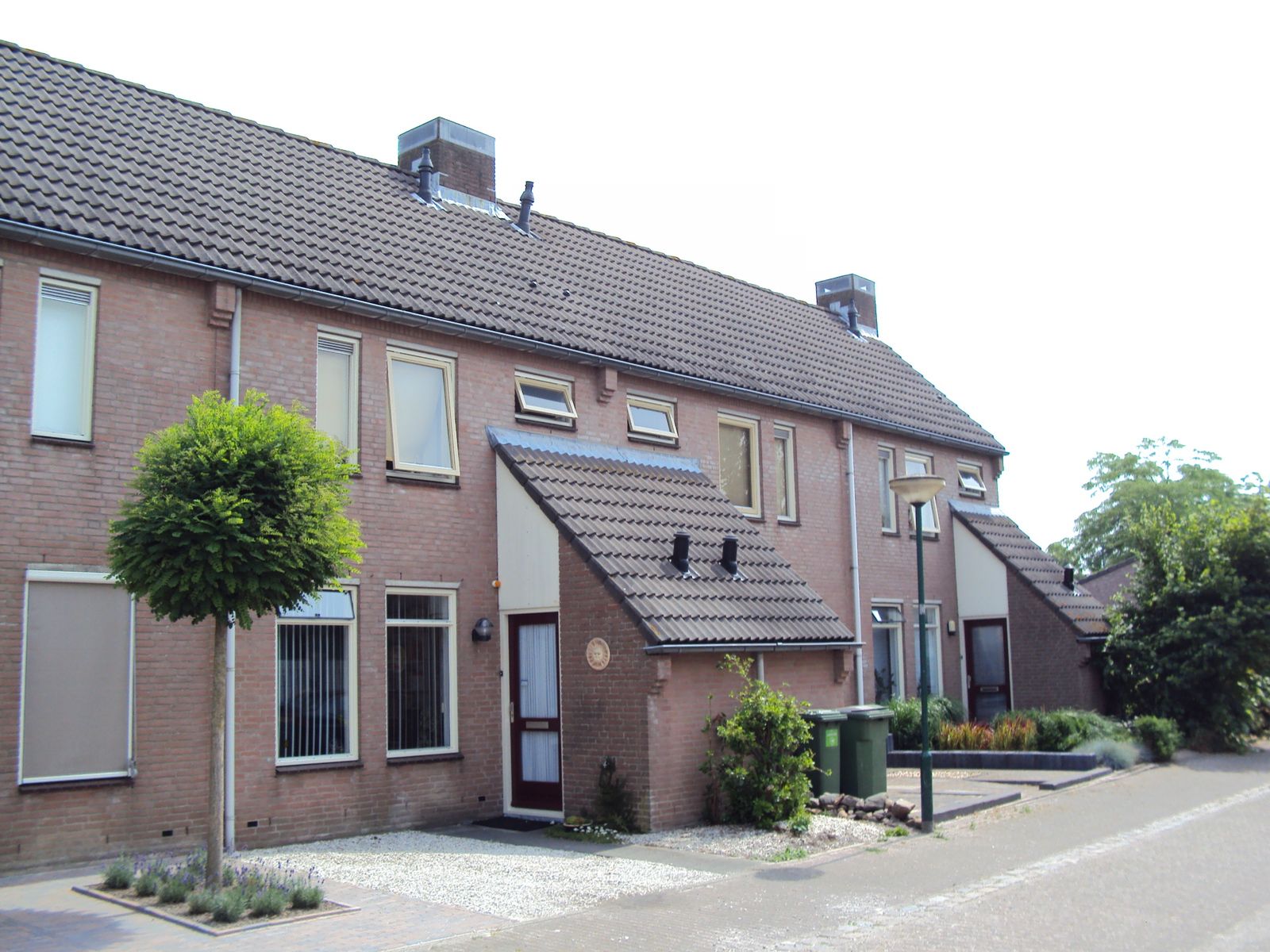 Foto van Helmkruid / Anemoon