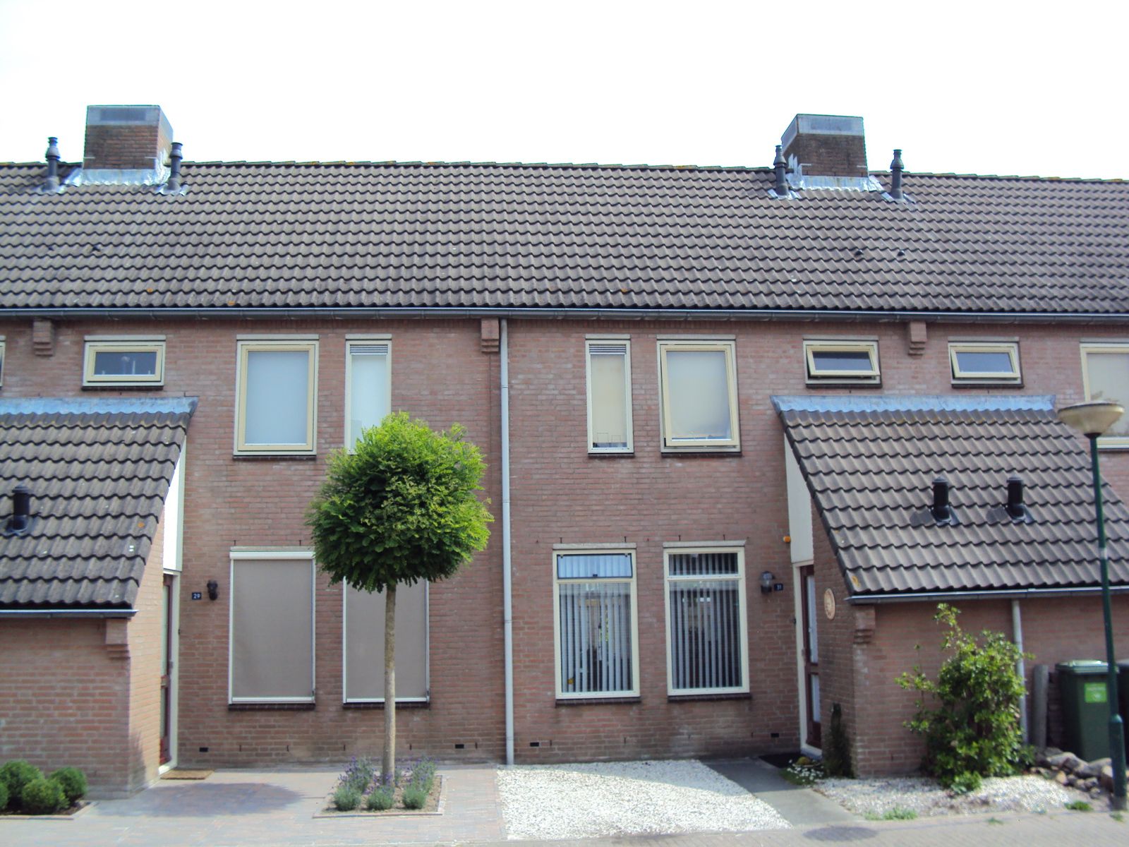 Foto 2 van Helmkruid / Anemoon