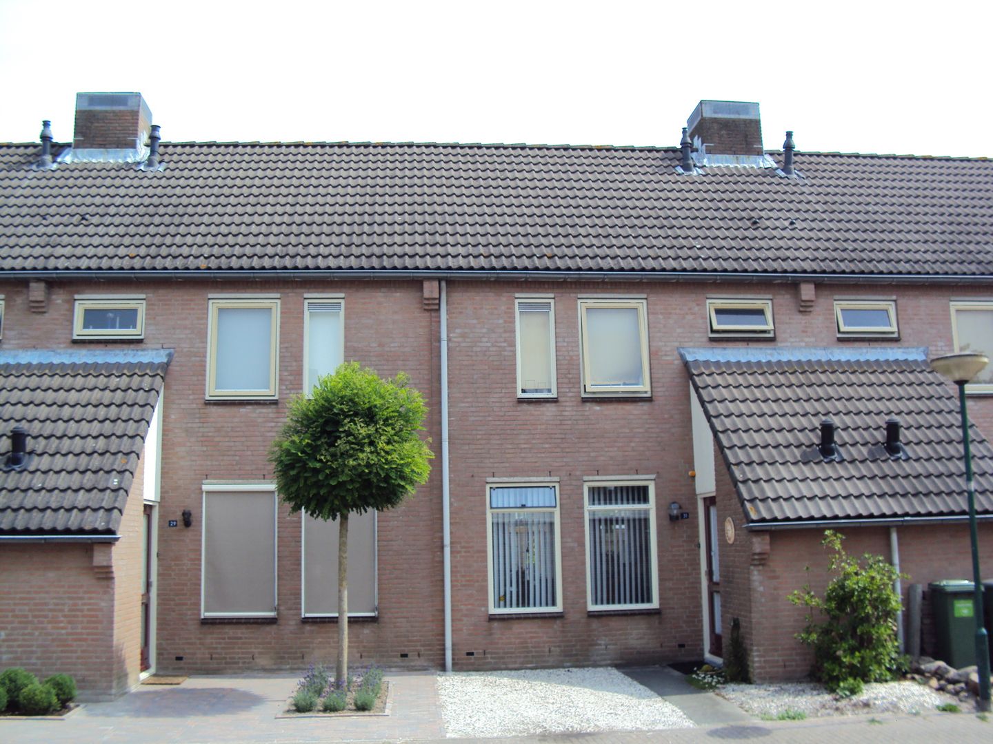 Photo 2 of Helmkruid / Anemoon