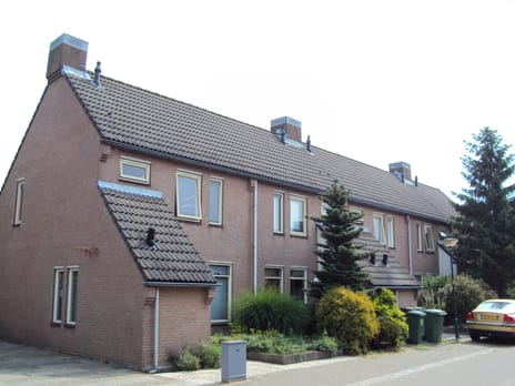 Foto 3 van Helmkruid / Anemoon