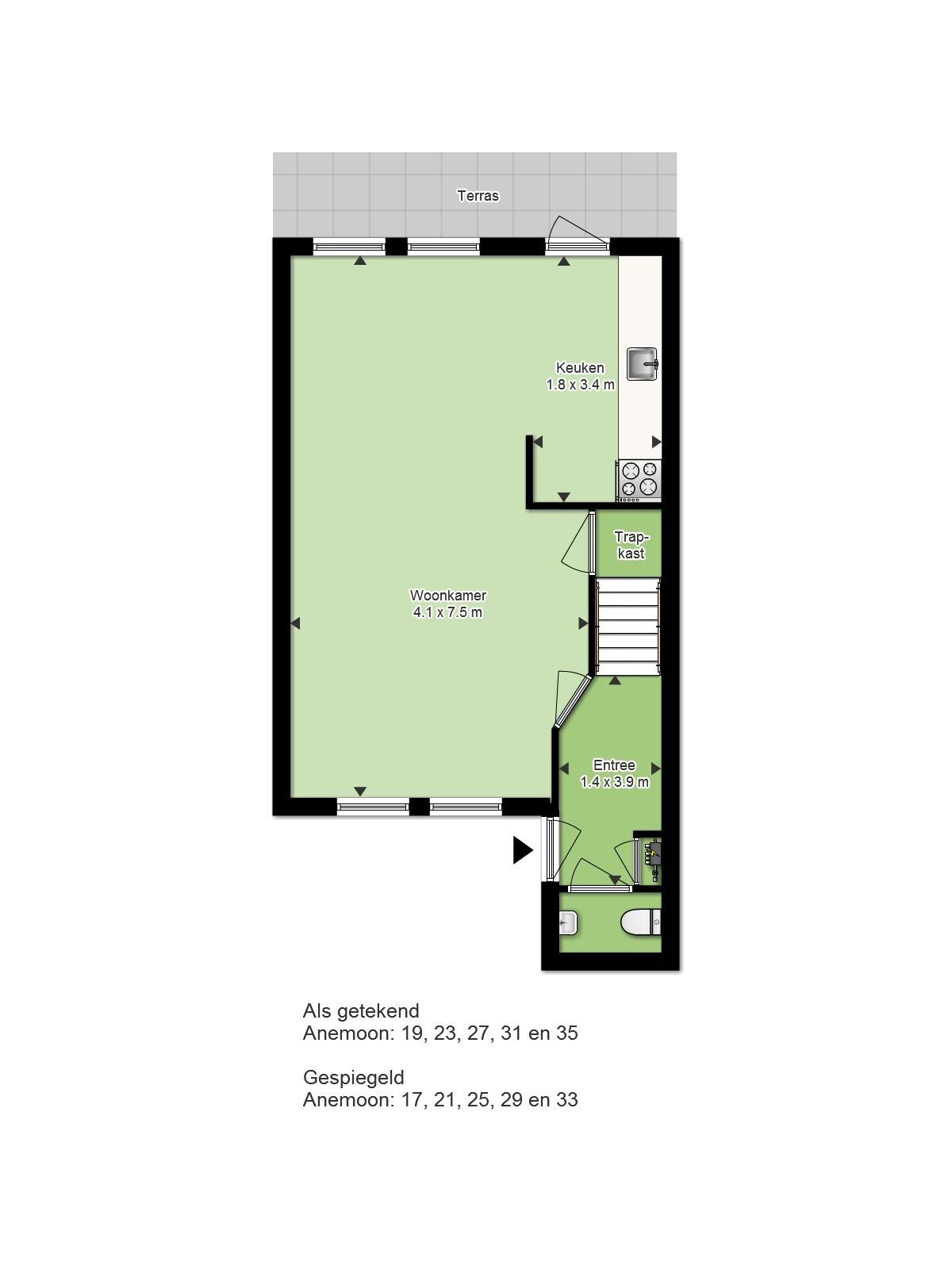 Photo 7 of Helmkruid / Anemoon