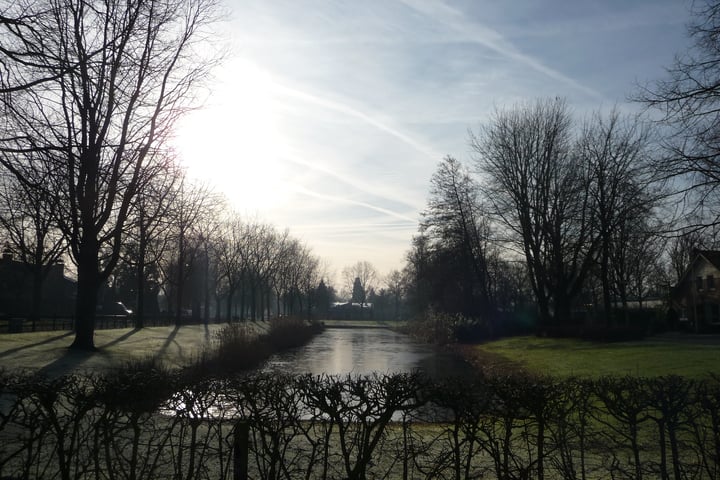 View photo 13 of Rembrandtpark