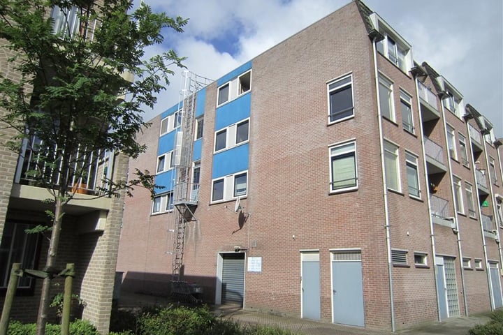 Van Goyenstraat "De Horst" : appartementen