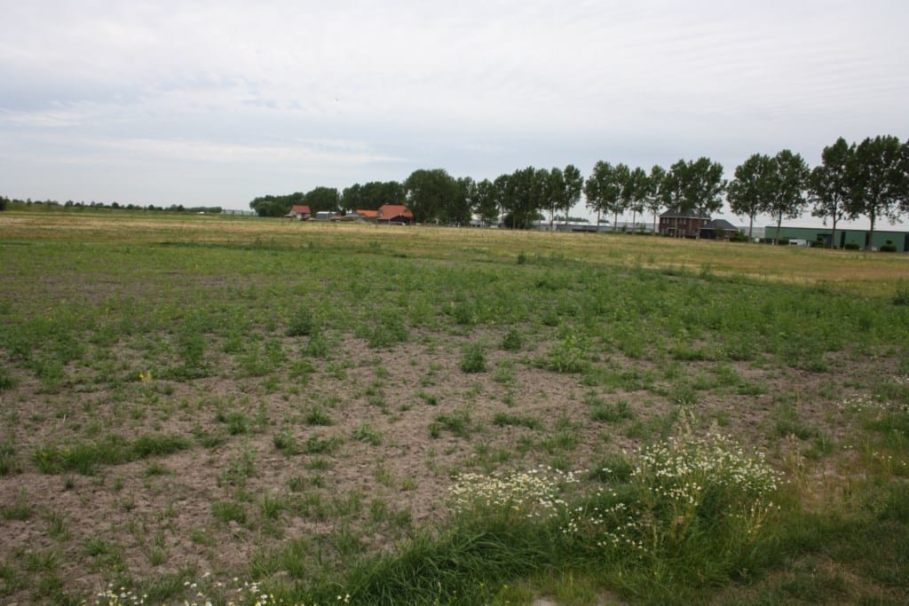 Bekijk foto 3 van Stierenweg