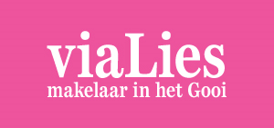 ViaLies makelaar-logo