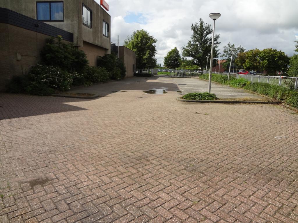 Bekijk foto 5 van Grote Beer 5