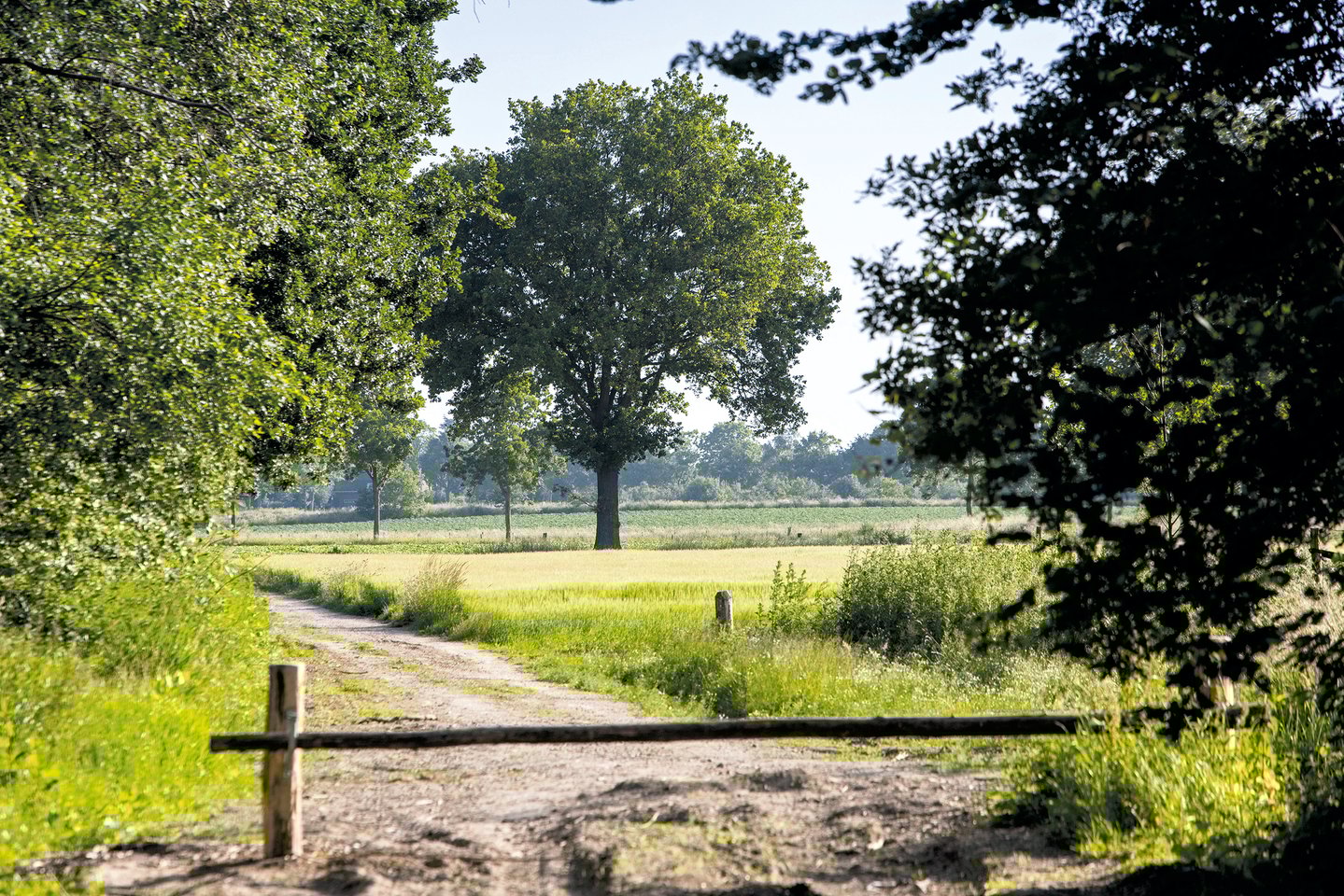 Foto van Bocage Bouwkavels