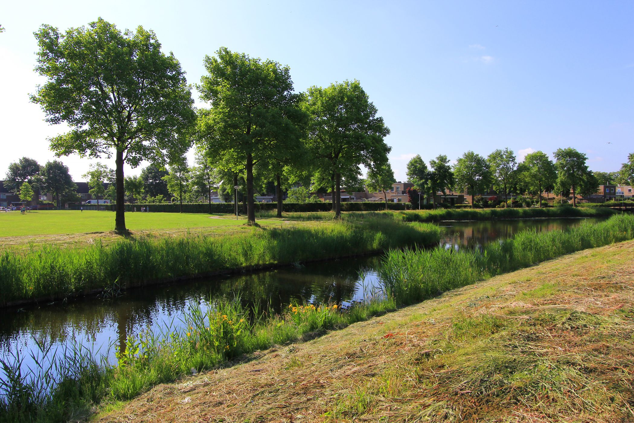 Photo 7 of NOORDHOVE BAAN/RUIMTE