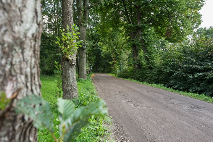 Bekijk foto 15 van Midwolderweg