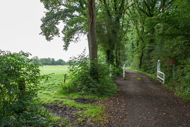 Bekijk foto 17 van Midwolderweg