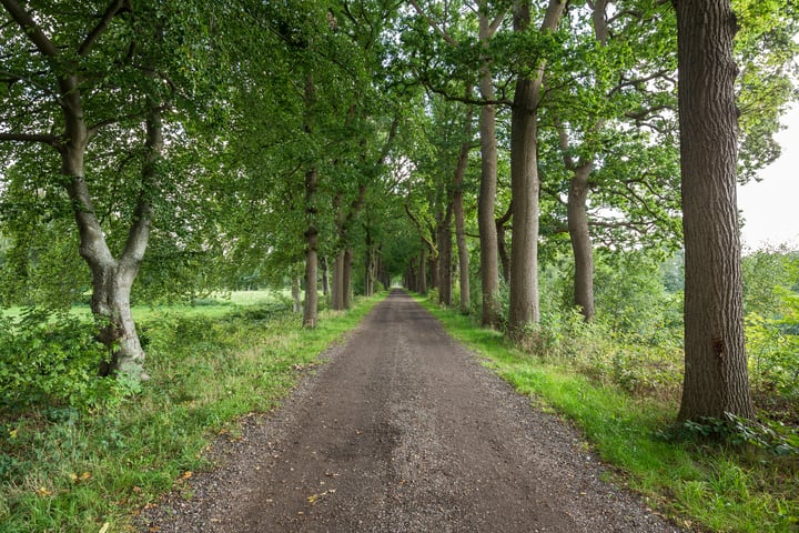 Bekijk foto 27 van Midwolderweg