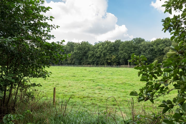 Bekijk foto 34 van Midwolderweg