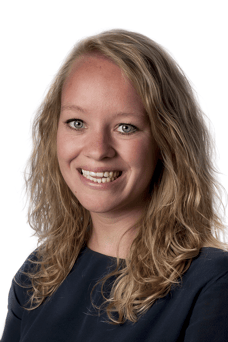 N. Vermeeren