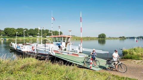 Foto 7 van Meulenveld