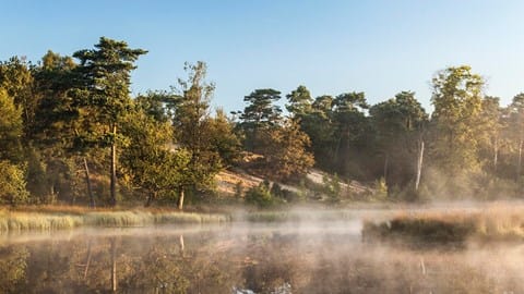 Foto 9 van Meulenveld