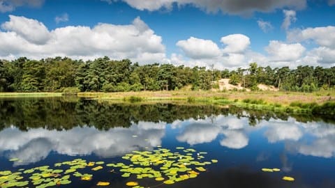 Photo 10 of Meulenveld