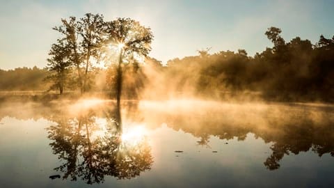 Photo 11 of Meulenveld