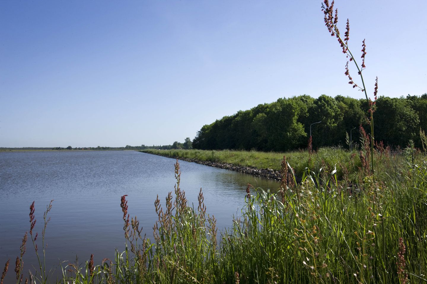 Foto 8 van Blauwestad