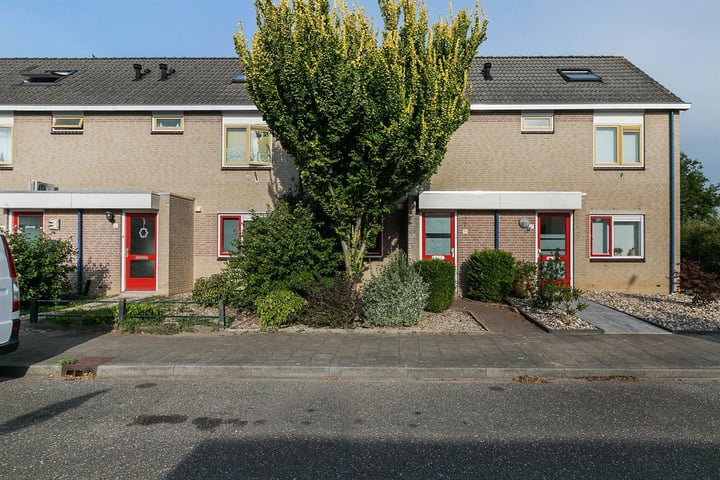 Ruime eengezinswoningen in 'Het Eiland'