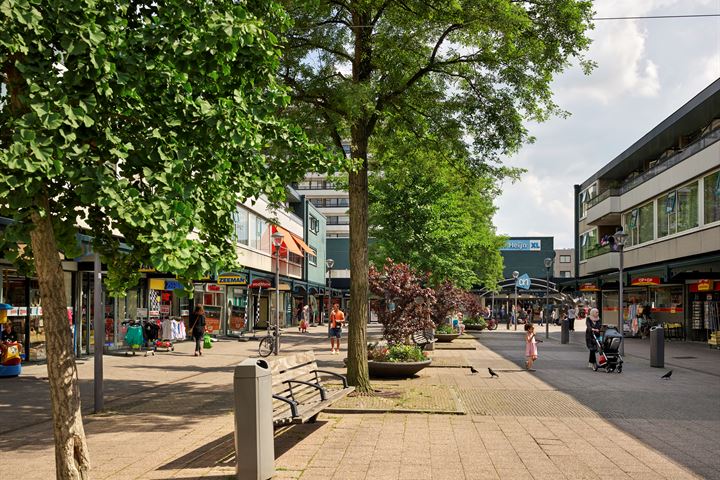 Binnenban 6-271, Hoogvliet Rotterdam