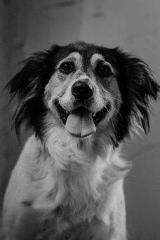 Eva - Afdeling Buitendienst