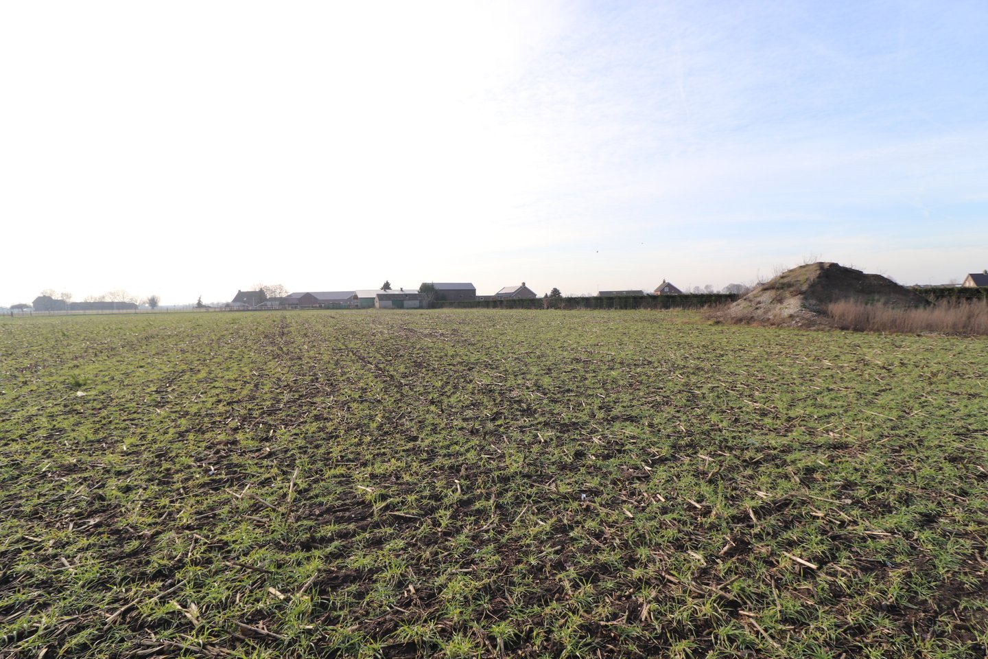 Bekijk foto 4 van Horsterweg 10